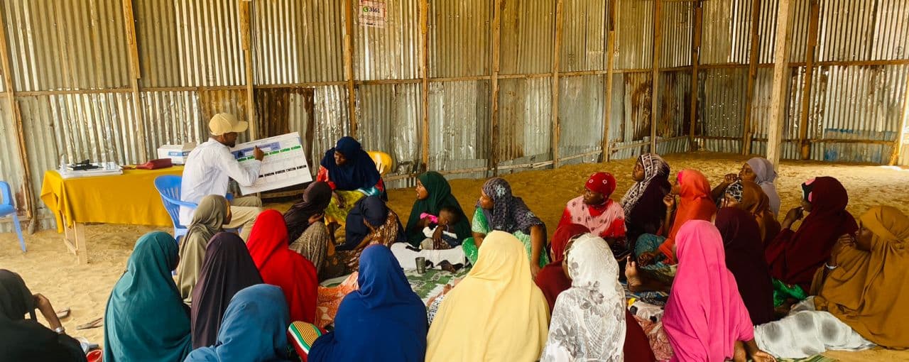 Bridge Hope programs in action